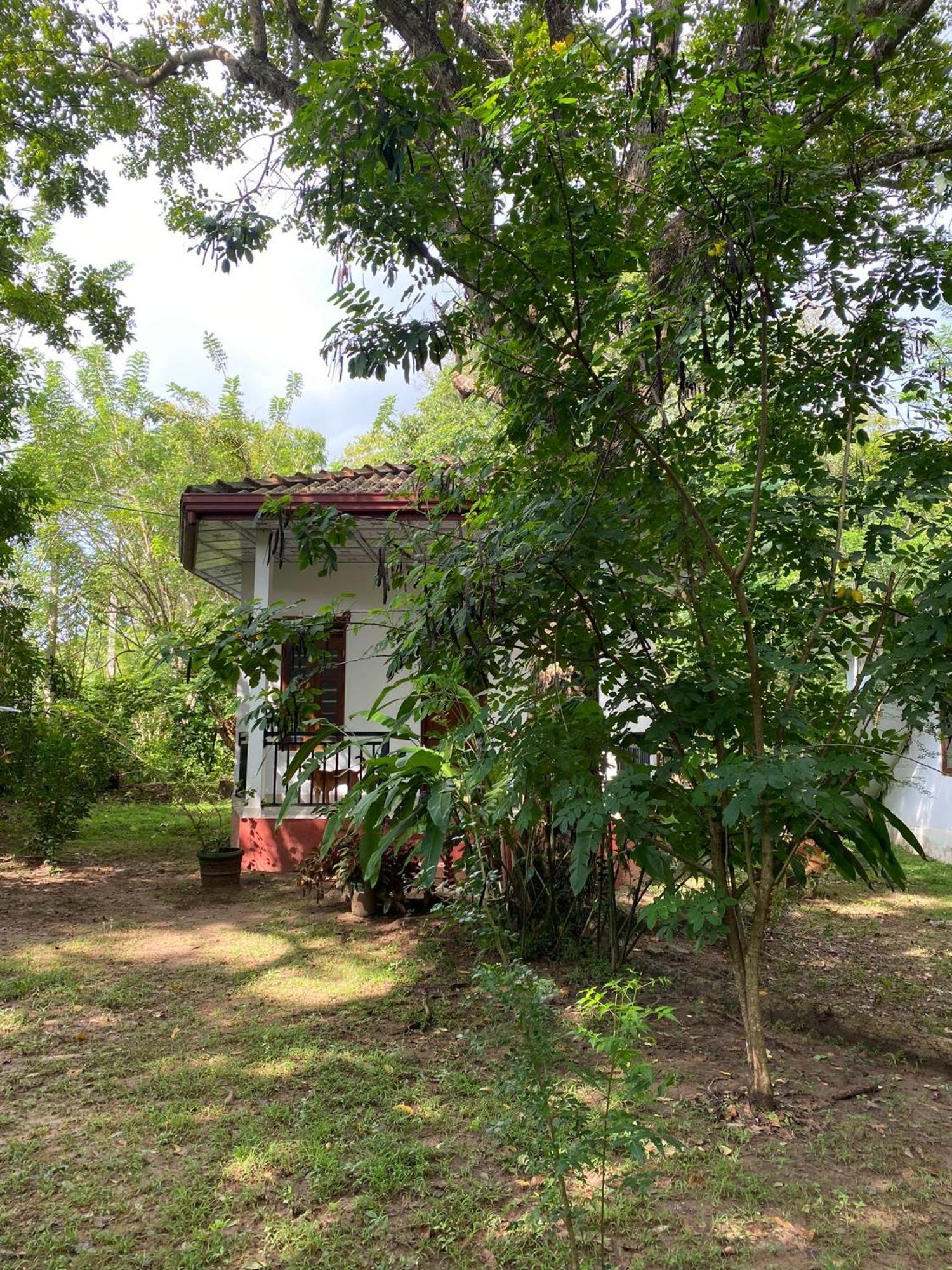 Calm Garden Cabanas Tangalle Exterior foto