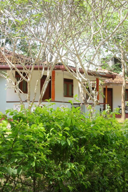 Calm Garden Cabanas Tangalle Exterior foto