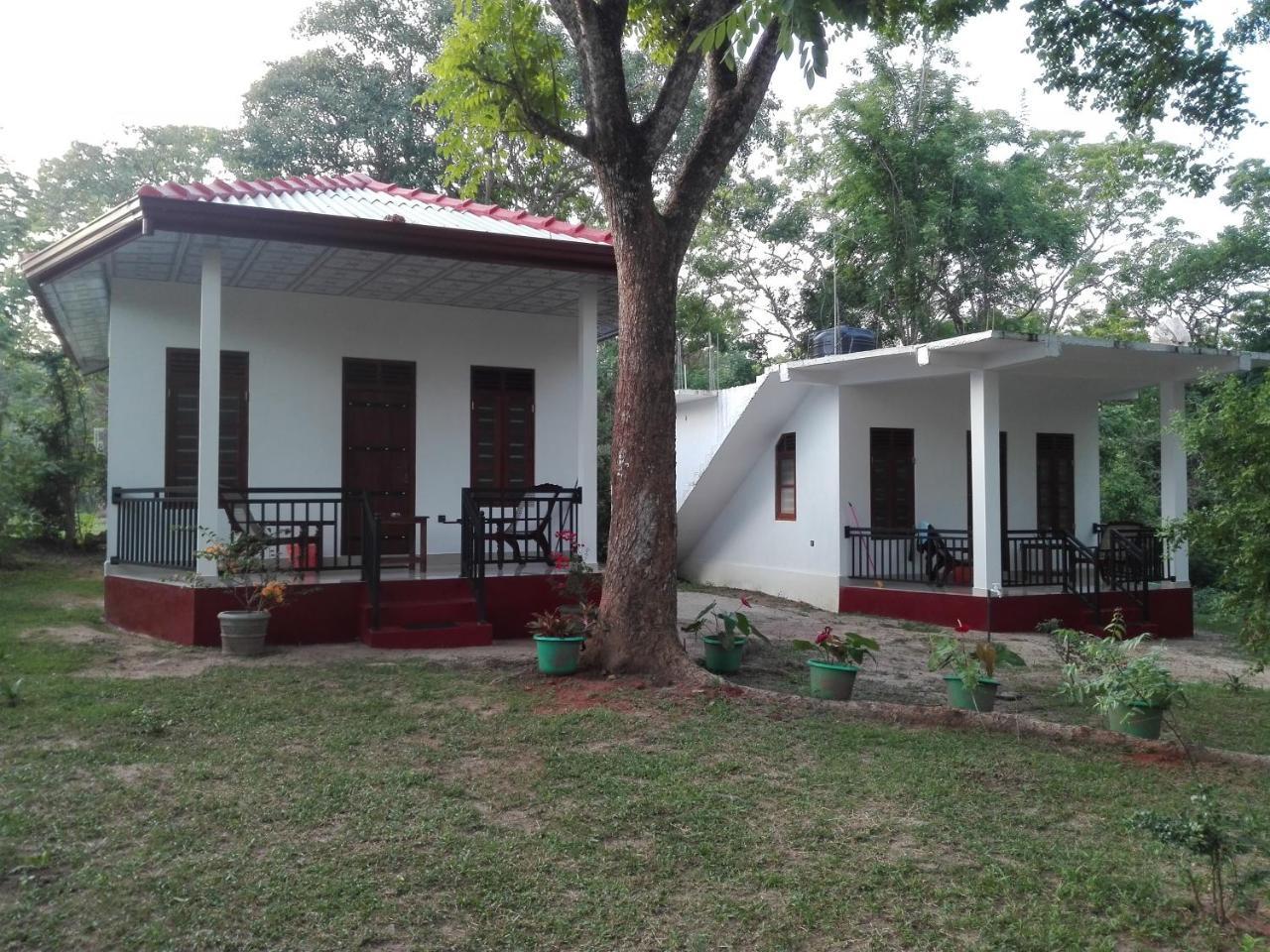 Calm Garden Cabanas Tangalle Exterior foto